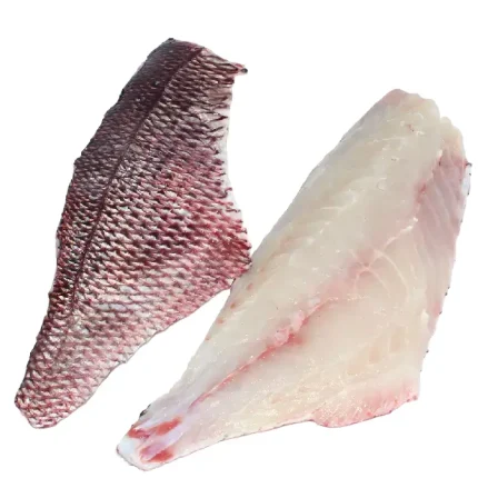 Red Snapper Fillet