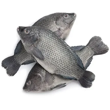 Whole Fish Tilapia